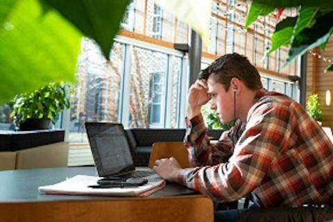 student looking at laptop