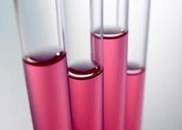 Test tubes with red liquid