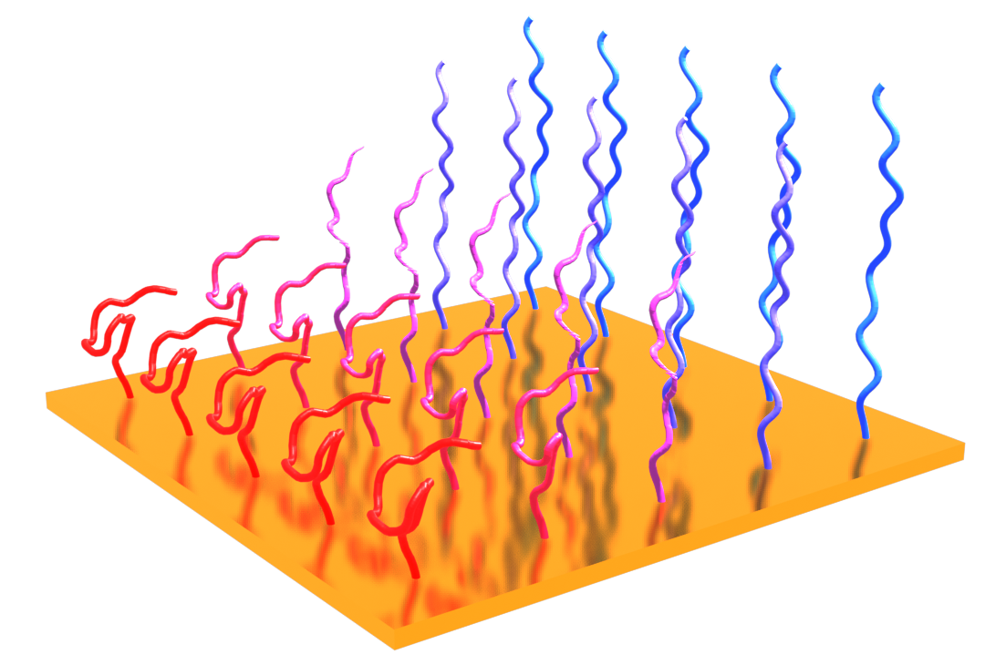 Scientific illustration of colorful squiggly lines rising from a yellow surface