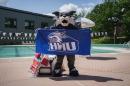 Wild E Cat poses with a towel at the pool